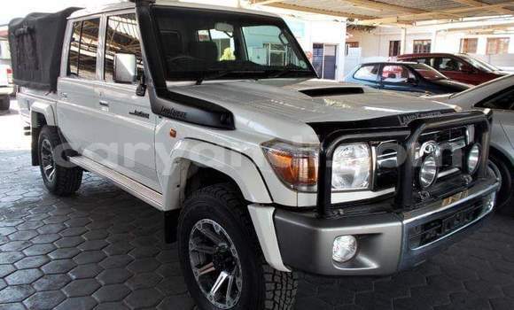 Buy Used Toyota Land Cruiser Other Car in Chipata in Zambia Buy Used Toyota Land Cruiser Other Car in Chipata in Zambia