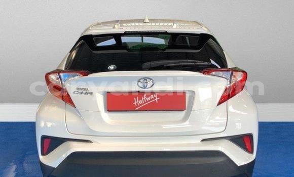 Acheter Occasion Voiture Toyota C-HR Blanc à Chingola, Zambie Acheter Occasion Voiture Toyota C-HR Blanc à Chingola, Zambie