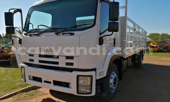 Buy Used Hino 300 Series White Truck in Lusaka in Zambia