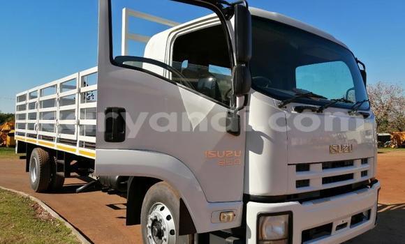 Tenga Tsaru Hino 300 Series Chena Rori in Lusaka in Zambia Tenga Tsaru Hino 300 Series Chena Rori in Lusaka in Zambia