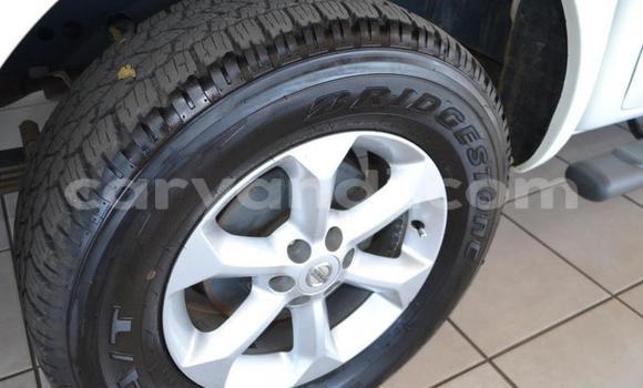 Tenga Tsaru Nissan Navara Chena Mota in Lusaka in Zambia Tenga Tsaru Nissan Navara Chena Mota in Lusaka in Zambia