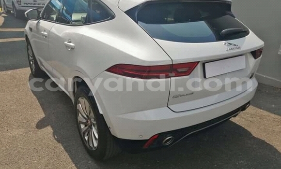 Buy Used Jaguar E-Pace Red Car in Chingola in Zambia Buy Used Jaguar E-Pace Red Car in Chingola in Zambia