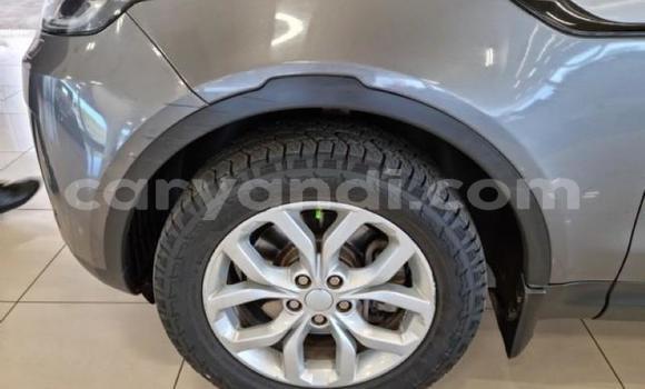 Buy Used Land Rover Discovery Other Car in Lusaka in Zambia Buy Used Land Rover Discovery Other Car in Lusaka in Zambia