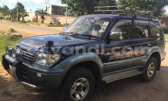 Buy Used Toyota Prado Blue Car in Lusaka in Zambia Buy Used Toyota Prado Blue Car in Lusaka in Zambia
