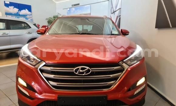Tenga Tsaru Hyundai Tucson Tsvuku Mota in Livingstone in Zambia