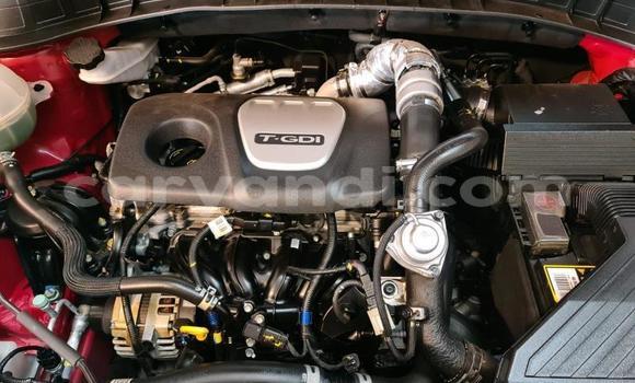 Nunua Ilio tumika Hyundai Tucson Nyekundu Gari ndani ya Livingstone nchini Zambia Nunua Ilio tumika Hyundai Tucson Nyekundu Gari ndani ya Livingstone nchini Zambia