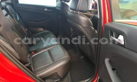 Nunua Ilio tumika Hyundai Tucson Nyekundu Gari ndani ya Livingstone nchini Zambia Nunua Ilio tumika Hyundai Tucson Nyekundu Gari ndani ya Livingstone nchini Zambia