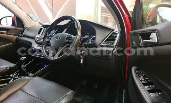 Nunua Ilio tumika Hyundai Tucson Nyekundu Gari ndani ya Livingstone nchini Zambia Nunua Ilio tumika Hyundai Tucson Nyekundu Gari ndani ya Livingstone nchini Zambia