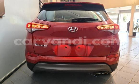Nunua Ilio tumika Hyundai Tucson Nyekundu Gari ndani ya Livingstone nchini Zambia Nunua Ilio tumika Hyundai Tucson Nyekundu Gari ndani ya Livingstone nchini Zambia