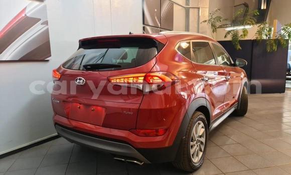Nunua Ilio tumika Hyundai Tucson Nyekundu Gari ndani ya Livingstone nchini Zambia Nunua Ilio tumika Hyundai Tucson Nyekundu Gari ndani ya Livingstone nchini Zambia