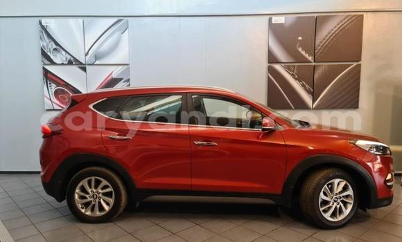 Nunua Ilio tumika Hyundai Tucson Nyekundu Gari ndani ya Livingstone nchini Zambia Nunua Ilio tumika Hyundai Tucson Nyekundu Gari ndani ya Livingstone nchini Zambia
