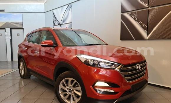 Nunua Ilio tumika Hyundai Tucson Nyekundu Gari ndani ya Livingstone nchini Zambia Nunua Ilio tumika Hyundai Tucson Nyekundu Gari ndani ya Livingstone nchini Zambia