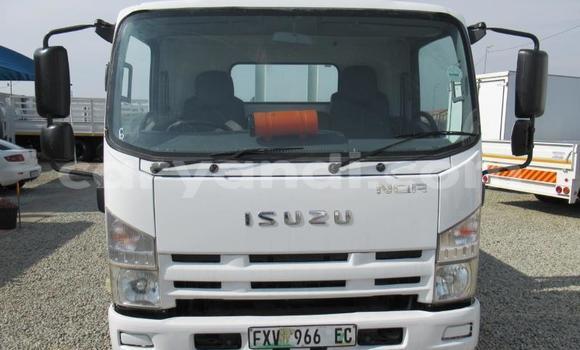 Tenga Tsaru Isuzu FTR 850 Chena Rori in Lusaka in Zambia Tenga Tsaru Isuzu FTR 850 Chena Rori in Lusaka in Zambia