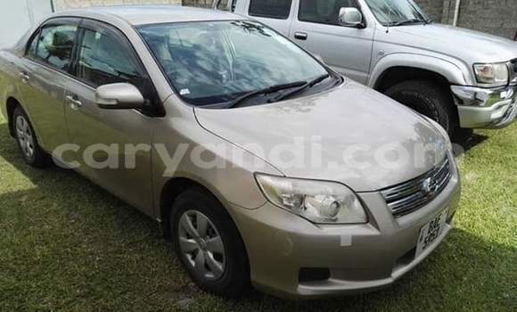 Buy Used Toyota Axio Brown Car in Lusaka in Zambia Buy Used Toyota Axio Brown Car in Lusaka in Zambia