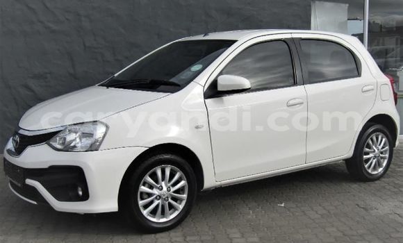 Buy Used Toyota Etios White Car in Livingstone in Zambia