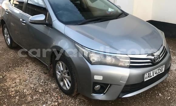 Buy Used Toyota Corolla Other Car in Lusaka in Zambia Buy Used Toyota Corolla Other Car in Lusaka in Zambia