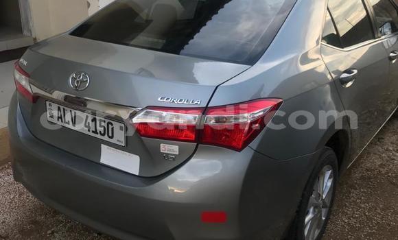 Buy Used Toyota Corolla Other Car in Lusaka in Zambia Buy Used Toyota Corolla Other Car in Lusaka in Zambia