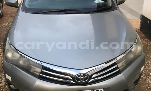 Buy Used Toyota Corolla Other Car in Lusaka in Zambia Buy Used Toyota Corolla Other Car in Lusaka in Zambia
