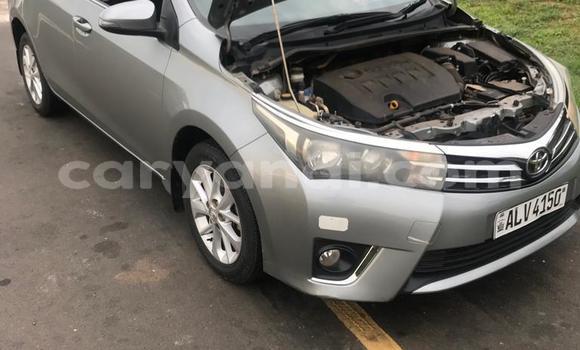 Buy Used Toyota Corolla Other Car in Lusaka in Zambia Buy Used Toyota Corolla Other Car in Lusaka in Zambia
