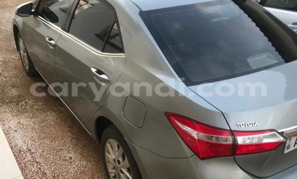 Buy Used Toyota Corolla Other Car in Lusaka in Zambia Buy Used Toyota Corolla Other Car in Lusaka in Zambia