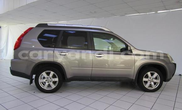 Buy Used Nissan X–Trail Other Car in Chilanga in Lusaka Buy Used Nissan X–Trail Other Car in Chilanga in Lusaka