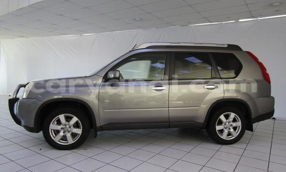 Buy Used Nissan X–Trail Other Car in Chilanga in Lusaka Buy Used Nissan X–Trail Other Car in Chilanga in Lusaka