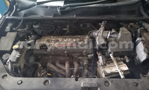 Tenga Tsaru Toyota RAV4 Nhema Mota in Lusaka in Zambia Tenga Tsaru Toyota RAV4 Nhema Mota in Lusaka in Zambia