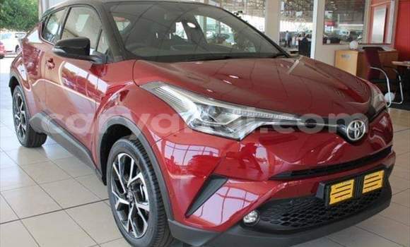 Buy Used Toyota C-HR Red Car in Kabwe in Zambia