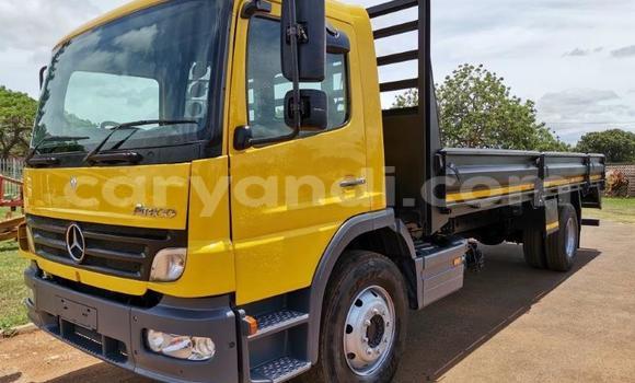 Buy Used Mercedes–Benz 1520 White Truck in Chilanga in Lusaka