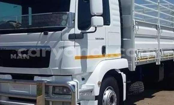 Buy Used Man TGX White Truck in Lusaka in Zambia