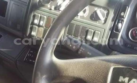 Tenga Tsaru Man TGX Chena Rori in Lusaka in Zambia Tenga Tsaru Man TGX Chena Rori in Lusaka in Zambia