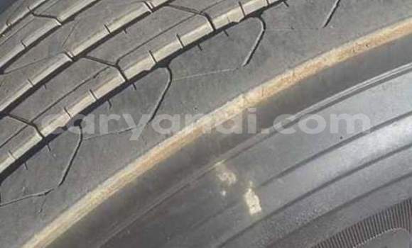 Tenga Tsaru Man TGX Chena Rori in Lusaka in Zambia Tenga Tsaru Man TGX Chena Rori in Lusaka in Zambia