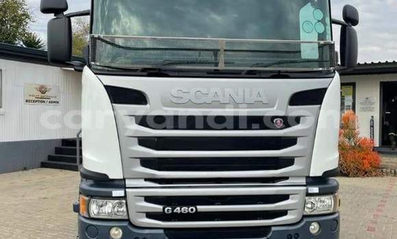 Buy Used Scania R420 White Truck in Livingstone in Zambia