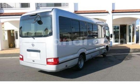 Buy Used Toyota Coaster Other Car in Chilanga in Lusaka Buy Used Toyota Coaster Other Car in Chilanga in Lusaka