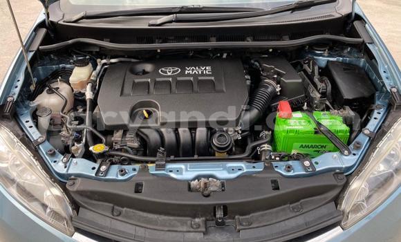 Tenga Tsaru Toyota Wish Bhuruu Mota in Livingstone in Zambia Tenga Tsaru Toyota Wish Bhuruu Mota in Livingstone in Zambia