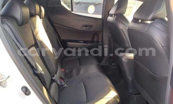 Tenga Tsaru Toyota C-HR Chena Mota in Livingstone in Zambia Tenga Tsaru Toyota C-HR Chena Mota in Livingstone in Zambia