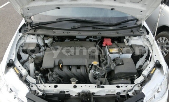 Acheter Occasion Voiture Toyota Corolla Blanc à Livingstone, Zambie Acheter Occasion Voiture Toyota Corolla Blanc à Livingstone, Zambie