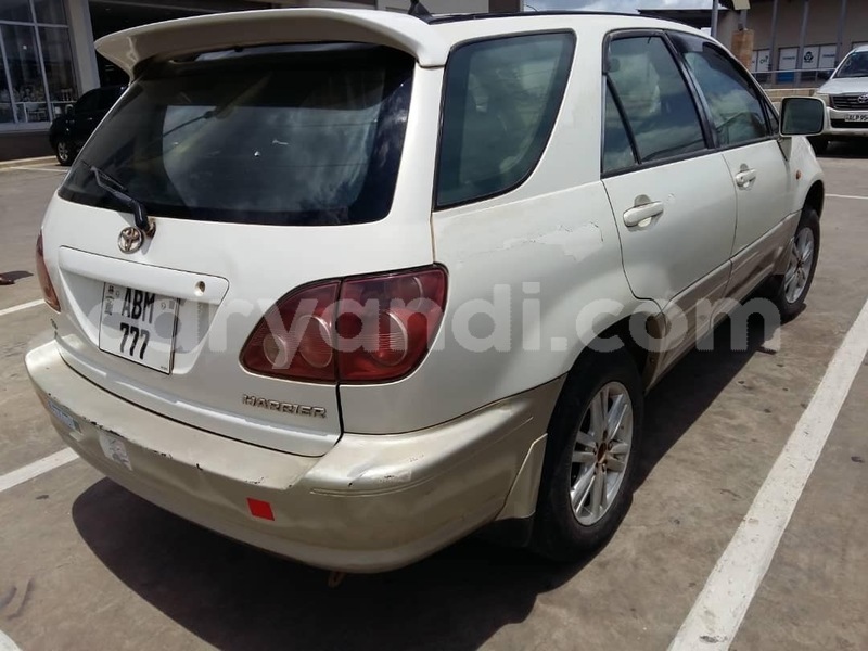 Big with watermark c461decf 5ed6 4dd2 9184 481c6b9f4adc