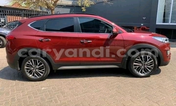 Buy Used Toyota Hilux Red Car in Livingstone in Zambia