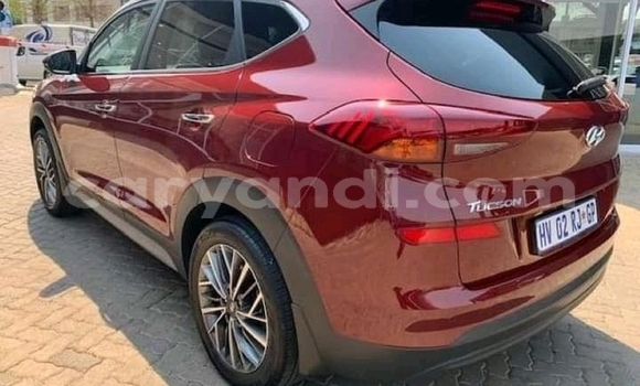 Buy Used Toyota Hilux Red Car in Livingstone in Zambia Buy Used Toyota Hilux Red Car in Livingstone in Zambia