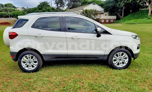 Tenga Tsaru Ford Escort Chena Mota in Chilanga in Lusaka Tenga Tsaru Ford Escort Chena Mota in Chilanga in Lusaka