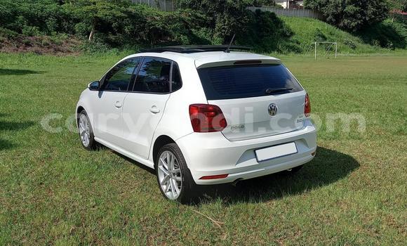 Buy Used Volkswagen Polo White Car in Chilanga in Lusaka Buy Used Volkswagen Polo White Car in Chilanga in Lusaka