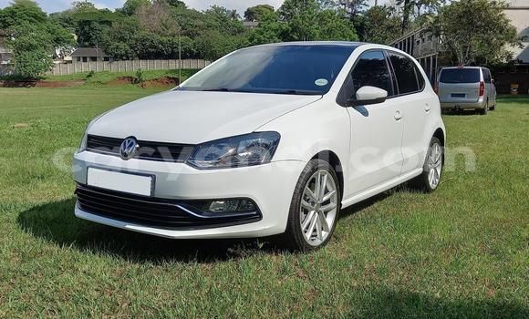 Buy Used Volkswagen Polo White Car in Chilanga in Lusaka Buy Used Volkswagen Polo White Car in Chilanga in Lusaka