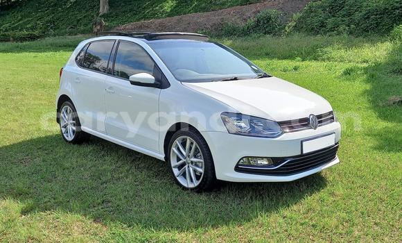 Buy Used Volkswagen Polo White Car in Chilanga in Lusaka Buy Used Volkswagen Polo White Car in Chilanga in Lusaka