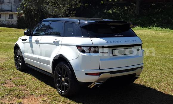 Tenga Tsaru Ford Ranger Chena Mota in Chambishi in Copperbelt Tenga Tsaru Ford Ranger Chena Mota in Chambishi in Copperbelt