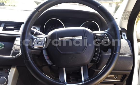 Tenga Tsaru Ford Ranger Chena Mota in Chambishi in Copperbelt Tenga Tsaru Ford Ranger Chena Mota in Chambishi in Copperbelt