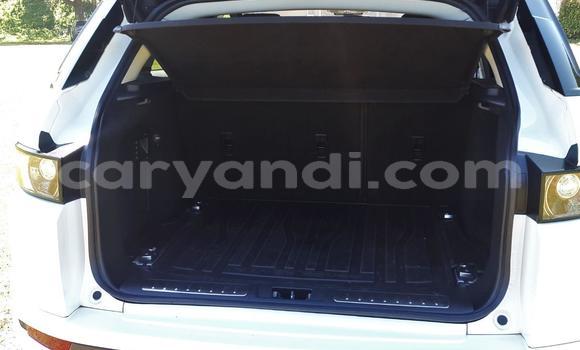 Tenga Tsaru Ford Ranger Chena Mota in Chambishi in Copperbelt Tenga Tsaru Ford Ranger Chena Mota in Chambishi in Copperbelt