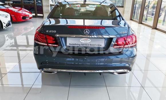 Tenga Tsaru Mercedes-Benz E-Classe Nhema Mota in Lusaka in Zambia Tenga Tsaru Mercedes-Benz E-Classe Nhema Mota in Lusaka in Zambia