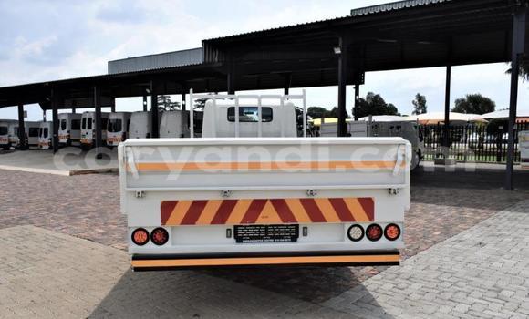 Buy Used Hino 300 Series White Truck in Chilanga in Lusaka Buy Used Hino 300 Series White Truck in Chilanga in Lusaka