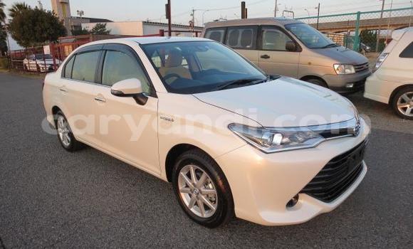 Tenga Tsaru Toyota Axio Chena Mota in Chingola in Zambia